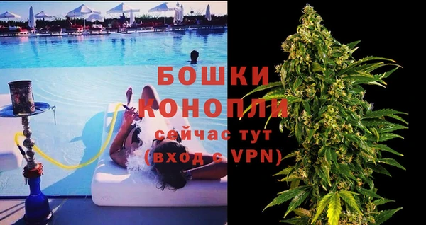 эйфоретик Белокуриха